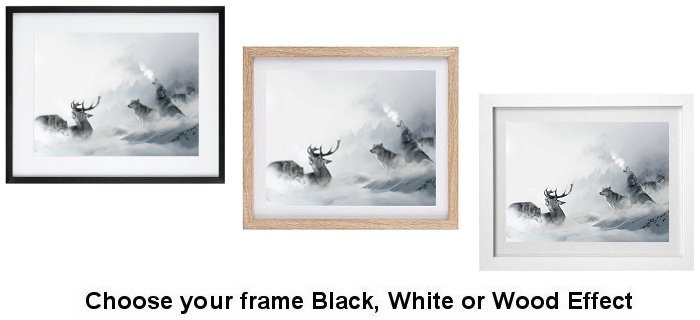 Select Your Frame